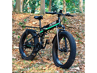 bicicleta electrica E-MTB Alfina