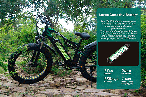 bicicleta electrica E-MTB Ceaya